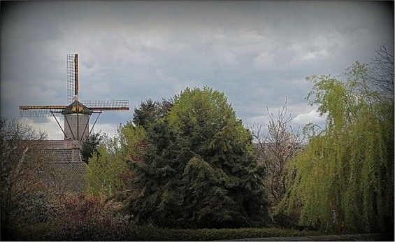 Vandaag gezien: de windmolen - Hamont-Achel