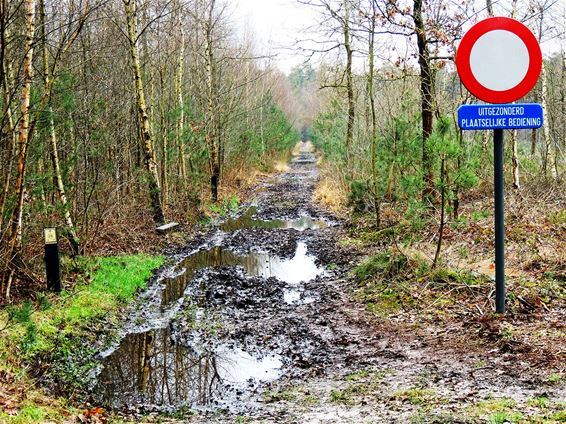 Vandaag gezien: een bijzonder verkeersbord - Neerpelt