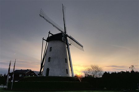 Vandaag gezien... - Neerpelt
