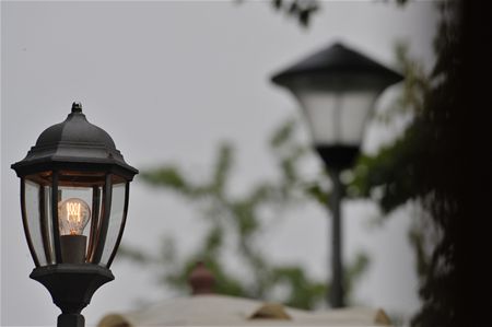 Vandaag gezien... - Neerpelt