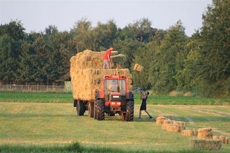 Vandaag gezien... - Lommel