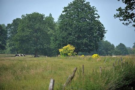 Vandaag gezien... - Hechtel-Eksel