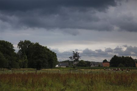Vandaag gezien - Overpelt