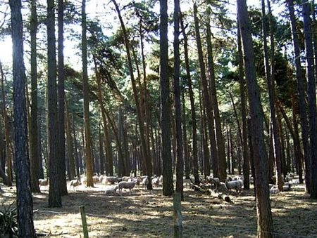 Vandaag gezien... - Lommel
