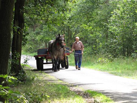 Vandaag gezien - Lommel