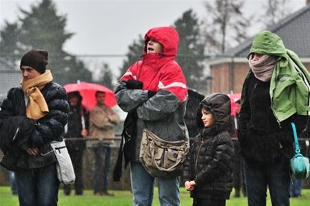 Vandaag gezien... - Neerpelt