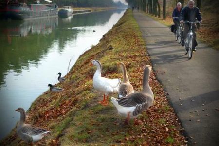 Vandaag gezien... - Lommel