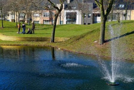 Vandaag gezien... - Lommel