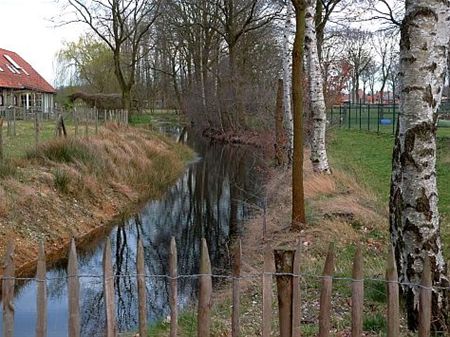 Vandaag gezien... - Neerpelt