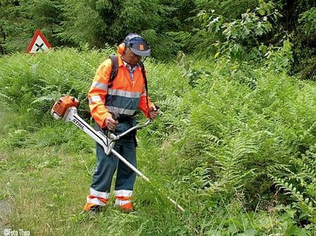 Vandaag gezien... - Hamont-Achel