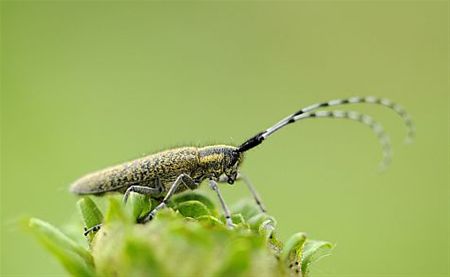 Vandaag gezien... - Overpelt