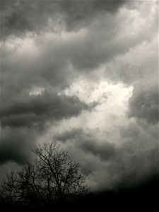 Vandaag gezien - Neerpelt