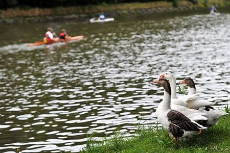 Vandaag gezien... - Neerpelt