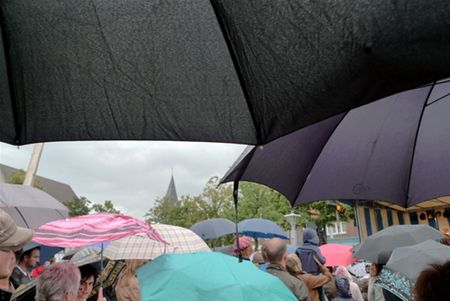 Vandaag gezien... - Overpelt