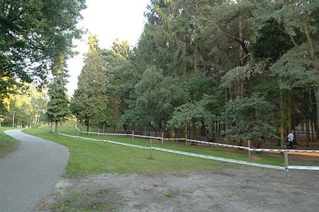 Vandaag gezien... - Neerpelt