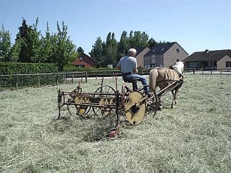 Vandaag gezien... - Neerpelt
