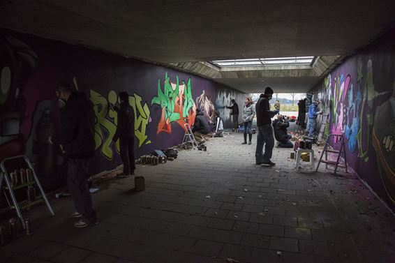Vandaag gezien: graffiti onder de brug - Overpelt