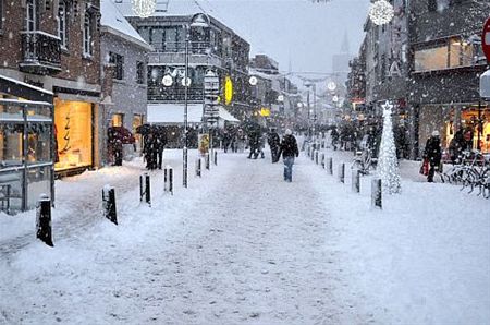 Vandaag gezien... - Lommel