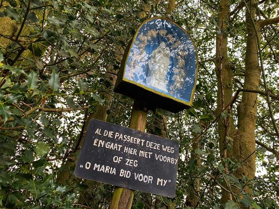 Vandaag gezien in het Hoksent - Hechtel-Eksel