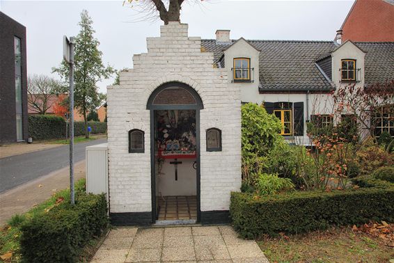 Vandaag gezien op de Adelberg - Lommel