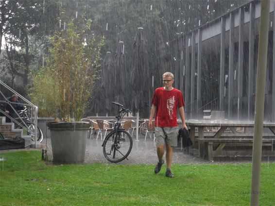 Vandaag gezien: Wereldfeest in opbouw - Neerpelt