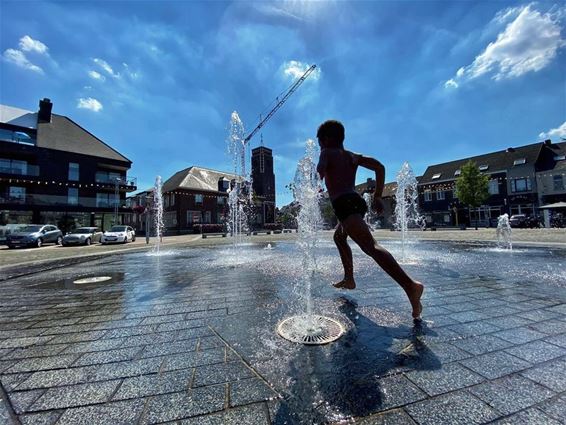 Vandaag gezien: zomer op de Oude Markt - Pelt