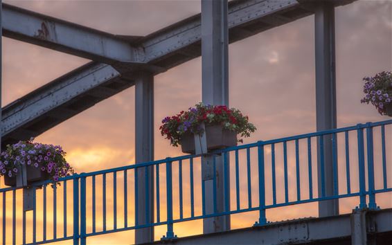 Vandaag in Barrier en Kolonie - Lommel