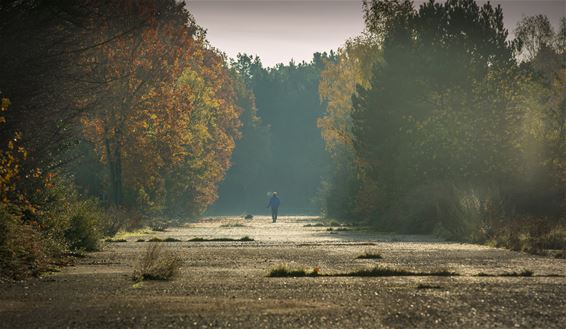 Vandaag in Blauwe Kei en Balendijk - Lommel