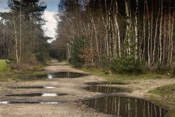 Vandaag in Blekerheide - Lommel