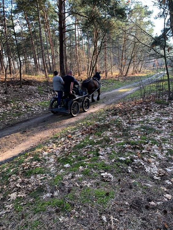 Vandaag in de Haarterheide - Hamont-Achel