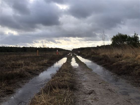 Vandaag in de Heide - Lommel