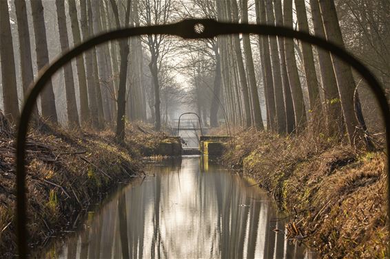 Vandaag in de Kolonie - Lommel