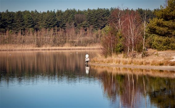 Vandaag in de Sahara - Lommel