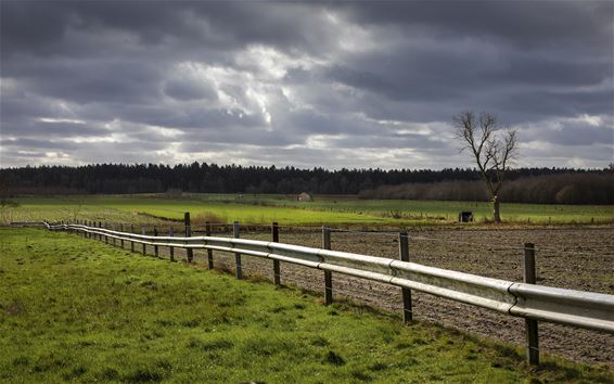 Vandaag in de Vriesputten - Lommel