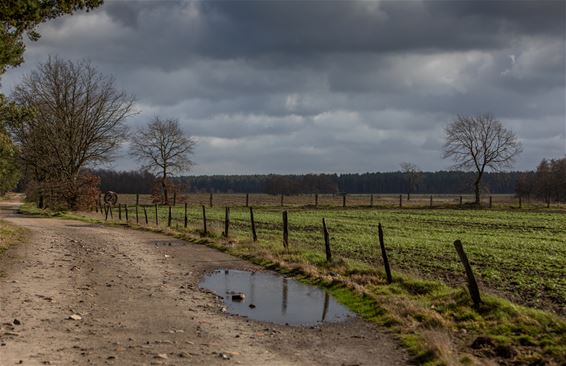 Vandaag in de Vriesputten - Lommel