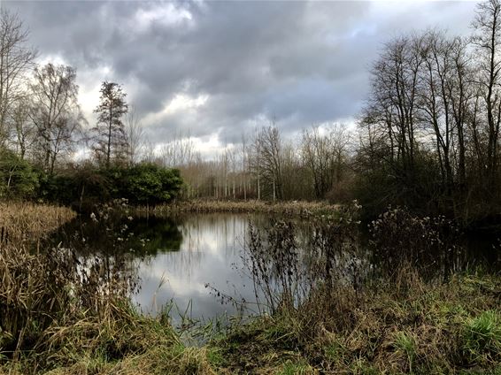 Vandaag in de Wateringen - Lommel