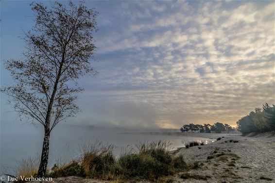 Vandaag in Heide-Heuvel - Lommel