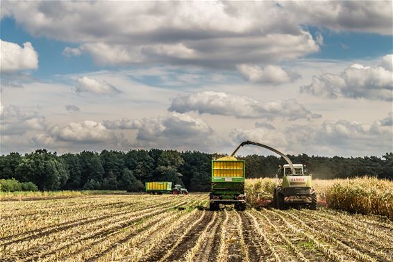 Vandaag in Kerkhoven - Lommel