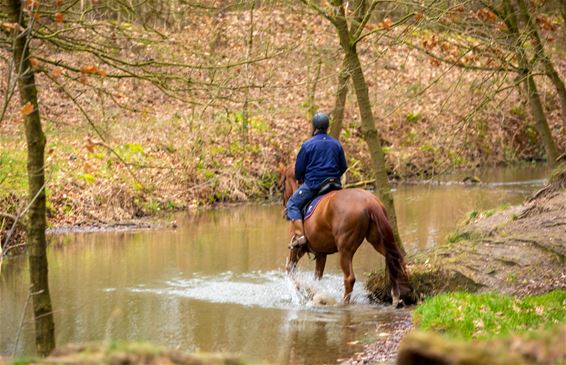 Vandaag in Lommel - Lommel