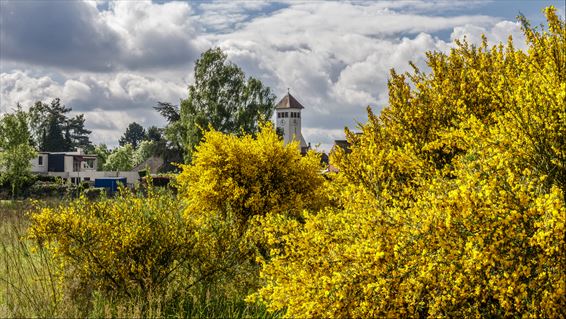 Vandaag in Lutlommel - Lommel