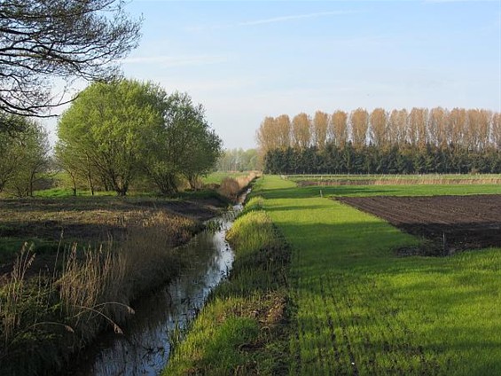 Vandaag kijken naar de mooie Dommel - Peer