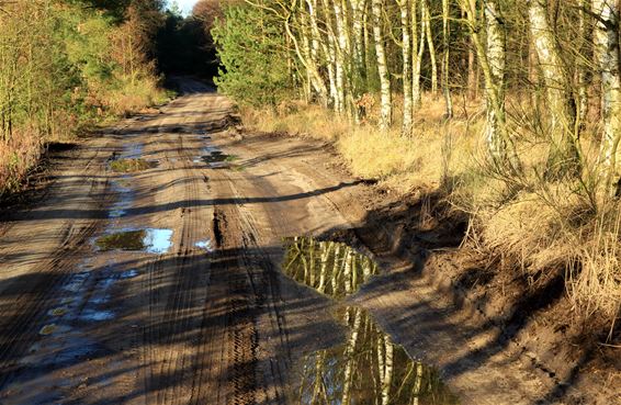 Vandaag op de Blekerheide - Lommel