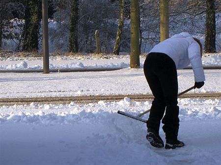 Vandaag (veel) gezien... - Neerpelt