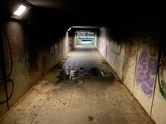 Vandalen gooien bom in tunnel - Beringen