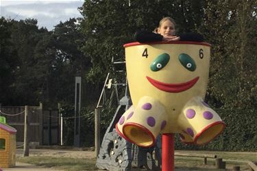 Vandalen gooien speeltuigen omver in Koersel - Beringen