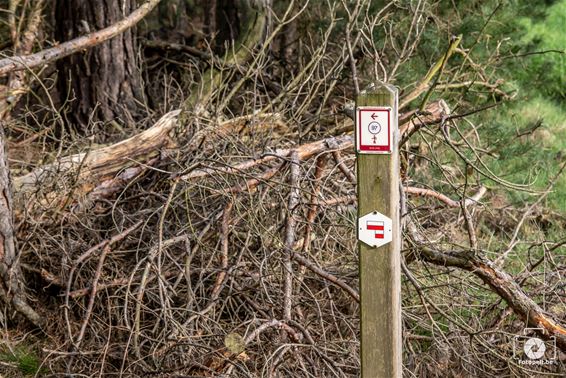 Vandalen richten opnieuw schade aan in Bosland