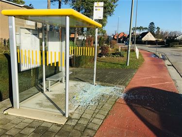 Vandalen vernielen bushokje - Beringen