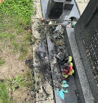 Vandalen vernielen tientallen graven in Koersel - Beringen