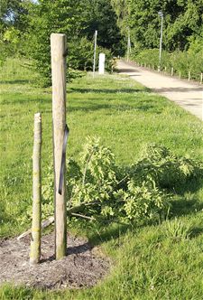 Vandalisme in Barrierspark - Lommel