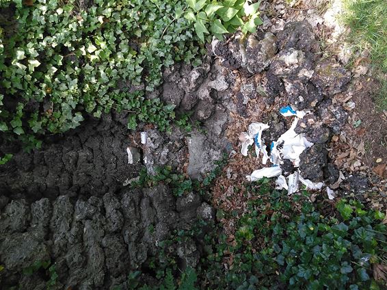 Vandalen vernielen Mariabeeld in Kolonie - Lommel
